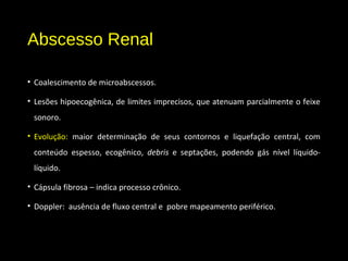 Abscesso Renal
• Coalescimento de microabscessos.
• Lesões hipoecogênica, de limites imprecisos, que atenuam parcialmente o feixe
sonoro.
• Evolução: maior determinação de seus contornos e liquefação central, com
conteúdo espesso, ecogênico, debris e septações, podendo gás nível líquido-
líquido.
• Cápsula fibrosa – indica processo crônico.
• Doppler: ausência de fluxo central e pobre mapeamento periférico.
 