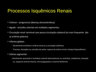 Processos Isquêmicos Renais
• Crônico – progressivo (doença aterosclerótica).
• Agudo - oclusões arteriais em múltiplos segmentos.
• Circulação renal: terminal com pouca circulação colateral (as mais frequente são
as artérias polares).
• Infartos globais
- Geralmente envolvem a artéria renal ou a circulação sistêmica.
- Traumas, disseções ou oclusões da aorta, ruptura da artéria renal e choque hipovolêmico.
• Infarto segmentar
- Geralmente associado à trombose arterial (aterosclerose ou arterites), embolismo, disseção
ou espasmo arterial intenso, microangiopatias e anemia falciforme.
 