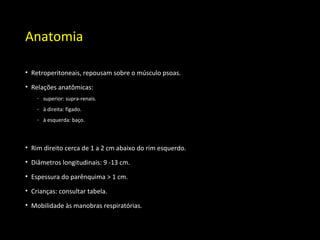 Anatomia
• Retroperitoneais, repousam sobre o músculo psoas.
• Relações anatômicas:
- superior: supra-renais.
- à direita: fígado.
- à esquerda: baço.
• Rim direito cerca de 1 a 2 cm abaixo do rim esquerdo.
• Diâmetros longitudinais: 9 -13 cm.
• Espessura do parênquima > 1 cm.
• Crianças: consultar tabela.
• Mobilidade às manobras respiratórias.
 