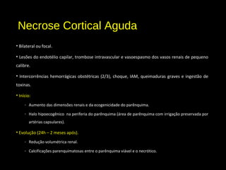 Necrose Cortical Aguda
• Bilateral ou focal.
• Lesões do endotélio capilar, trombose intravascular e vasoespasmo dos vasos renais de pequeno
calibre.
• Intercorrências hemorrágicas obstétricas (2/3), choque, IAM, queimaduras graves e ingestão de
toxinas.
• Início:
- Aumento das dimensões renais e da ecogenicidade do parênquima.
- Halo hipoecogênico na periferia do parênquima (área de parênquima com irrigação preservada por
artérias capsulares).
• Evolução (24h – 2 meses após).
- Redução volumétrica renal.
- Calcificações parenquimatosas entre o parênquima viável e o necrótico.
 