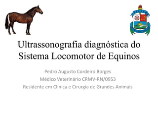 Ultrassonografia diagnóstica do
Sistema Locomotor de Equinos
Pedro Augusto Cordeiro Borges
Médico Veterinário CRMV-RN/0953
Residente em Clínica e Cirurgia de Grandes Animais
 