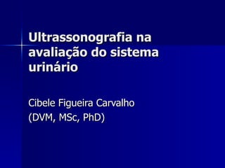 Ultrassonografia na
avaliação do sistema
urinário

Cibele Figueira Carvalho
(DVM, MSc, PhD)
 