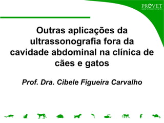 Outras aplicações da
ultrassonografia fora da
cavidade abdominal na clínica de
cães e gatos
Prof. Dra. Cibele Figueira Carvalho
 