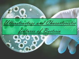 Ultrastructure and Characteristic
features of Bacteria
 