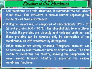 Ultrastructure and characterstic features of bacteria.
