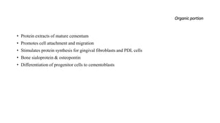 Organic portion
• Protein extracts of mature cementum
• Promotes cell attachment and migration
• Stimulates protein synthesis for gingival fibroblasts and PDL cells
• Bone sialoprotein & osteopontin
• Differentiation of progenitor cells to cementoblasts
 
