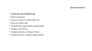 Types of Cementum
• ACELLULAR CEMENTUM
• First to be formed
• Covers cervical 3rd or half of the root
• Does not contain cells
• Formed before tooth reaches occlusal plane
• Thickness 30-230 μm
• Composed mostly of sharpey’s fibers
• Contains intrinsic calcified collagen fibrils
 