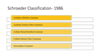 Schroeder Classification- 1986
Acellular Afibrillar Cementum
Acellular Extrinsic Fiber Cementum
Cellular Mixed Stratified Cementum
Cellular Intrinsic Fiber Cementum
Intermediate Cementum
 
