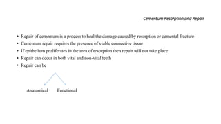 Cementum Resorption and Repair
• Repair of cementum is a process to heal the damage caused by resorption or cemental fracture
• Cementum repair requires the presence of viable connective tissue
• If epithelium proliferates in the area of resorption then repair will not take place
• Repair can occur in both vital and non-vital teeth
• Repair can be
Anatomical Functional
 