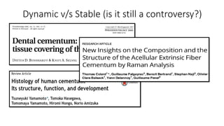 Dynamic v/s Stable (is it still a controversy?)
 
