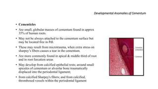 Developmental Anomalies of Cementum
• Cementicles
• Are small, globular masses of cementum found in approx
35% of human roots.
• May not be always attached to the cementum surface but
may be located free in Pdl.
• These may result from microtrauma, when extra stress on
sharpey’s fibers causes a tear in the cementum.
• Are more commonly found in apical & middle third of root
and in root furcation areas
• May develop from calcified epithelial rests; around small
spicules of cementum or alveolar bone traumatically
displaced into the periodontal ligament;
• from calcified Sharpey's fibers; and from calcified,
thrombosed vessels within the periodontal ligament
 