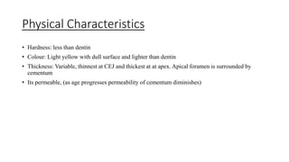 Physical Characteristics
• Hardness: less than dentin
• Colour: Light yellow with dull surface and lighter than dentin
• Thickness: Variable, thinnest at CEJ and thickest at at apex. Apical foramen is surrounded by
cementum
• Its permeable, (as age progresses permeability of cementum diminishes)
 