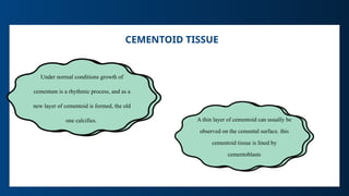 Comprehensive Overview of Cementum: Structure, Development, and ...