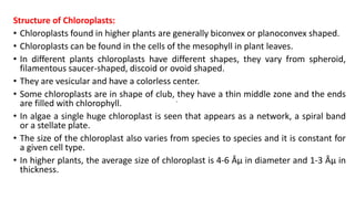 Ultrastructure and functions of Chloroplast.pptx