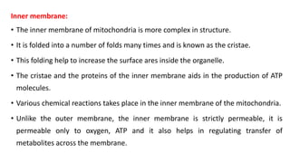 Ultrastructure and functions of Mitochondira.pptx
