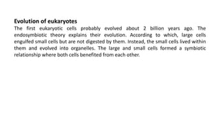 Evolution of eukaryotes
The first eukaryotic cells probably evolved about 2 billion years ago. The
endosymbiotic theory explains their evolution. According to which, large cells
engulfed small cells but are not digested by them. Instead, the small cells lived within
them and evolved into organelles. The large and small cells formed a symbiotic
relationship where both cells benefited from each other.
 