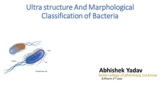 Ultra structure And Marphological
Classification of Bacteria
Abhishek Yadav
Seiko college of pharmacy, Lucknow
B.Pharm 2nd year
 