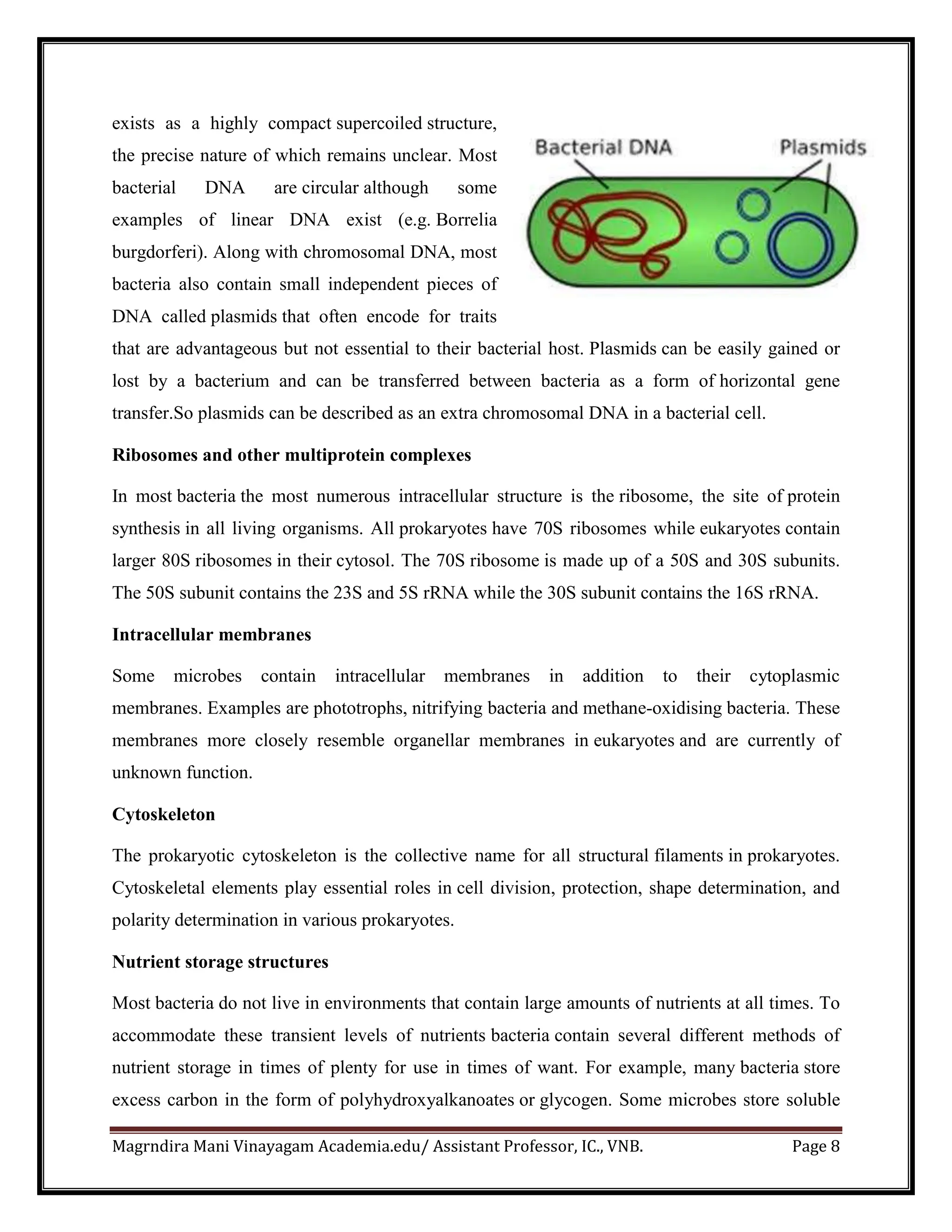 Magrndira Mani Vinayagam Academia.edu/ Assistant Professor, IC., VNB. Page 8
exists as a highly compact supercoiled structure,
the precise nature of which remains unclear. Most
bacterial DNA are circular although some
examples of linear DNA exist (e.g. Borrelia
burgdorferi). Along with chromosomal DNA, most
bacteria also contain small independent pieces of
DNA called plasmids that often encode for traits
that are advantageous but not essential to their bacterial host. Plasmids can be easily gained or
lost by a bacterium and can be transferred between bacteria as a form of horizontal gene
transfer.So plasmids can be described as an extra chromosomal DNA in a bacterial cell.
Ribosomes and other multiprotein complexes
In most bacteria the most numerous intracellular structure is the ribosome, the site of protein
synthesis in all living organisms. All prokaryotes have 70S ribosomes while eukaryotes contain
larger 80S ribosomes in their cytosol. The 70S ribosome is made up of a 50S and 30S subunits.
The 50S subunit contains the 23S and 5S rRNA while the 30S subunit contains the 16S rRNA.
Intracellular membranes
Some microbes contain intracellular membranes in addition to their cytoplasmic
membranes. Examples are phototrophs, nitrifying bacteria and methane-oxidising bacteria. These
membranes more closely resemble organellar membranes in eukaryotes and are currently of
unknown function.
Cytoskeleton
The prokaryotic cytoskeleton is the collective name for all structural filaments in prokaryotes.
Cytoskeletal elements play essential roles in cell division, protection, shape determination, and
polarity determination in various prokaryotes.
Nutrient storage structures
Most bacteria do not live in environments that contain large amounts of nutrients at all times. To
accommodate these transient levels of nutrients bacteria contain several different methods of
nutrient storage in times of plenty for use in times of want. For example, many bacteria store
excess carbon in the form of polyhydroxyalkanoates or glycogen. Some microbes store soluble
 