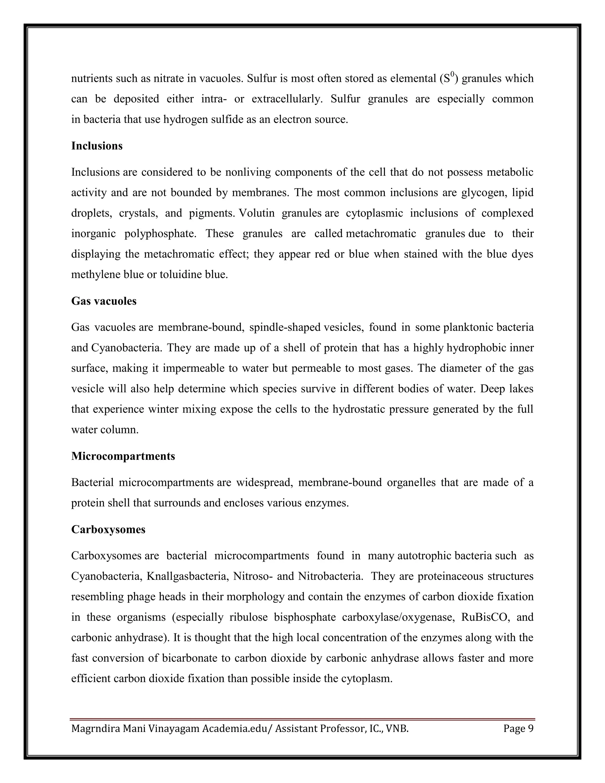Magrndira Mani Vinayagam Academia.edu/ Assistant Professor, IC., VNB. Page 9
nutrients such as nitrate in vacuoles. Sulfur is most often stored as elemental (S0
) granules which
can be deposited either intra- or extracellularly. Sulfur granules are especially common
in bacteria that use hydrogen sulfide as an electron source.
Inclusions
Inclusions are considered to be nonliving components of the cell that do not possess metabolic
activity and are not bounded by membranes. The most common inclusions are glycogen, lipid
droplets, crystals, and pigments. Volutin granules are cytoplasmic inclusions of complexed
inorganic polyphosphate. These granules are called metachromatic granules due to their
displaying the metachromatic effect; they appear red or blue when stained with the blue dyes
methylene blue or toluidine blue.
Gas vacuoles
Gas vacuoles are membrane-bound, spindle-shaped vesicles, found in some planktonic bacteria
and Cyanobacteria. They are made up of a shell of protein that has a highly hydrophobic inner
surface, making it impermeable to water but permeable to most gases. The diameter of the gas
vesicle will also help determine which species survive in different bodies of water. Deep lakes
that experience winter mixing expose the cells to the hydrostatic pressure generated by the full
water column.
Microcompartments
Bacterial microcompartments are widespread, membrane-bound organelles that are made of a
protein shell that surrounds and encloses various enzymes.
Carboxysomes
Carboxysomes are bacterial microcompartments found in many autotrophic bacteria such as
Cyanobacteria, Knallgasbacteria, Nitroso- and Nitrobacteria. They are proteinaceous structures
resembling phage heads in their morphology and contain the enzymes of carbon dioxide fixation
in these organisms (especially ribulose bisphosphate carboxylase/oxygenase, RuBisCO, and
carbonic anhydrase). It is thought that the high local concentration of the enzymes along with the
fast conversion of bicarbonate to carbon dioxide by carbonic anhydrase allows faster and more
efficient carbon dioxide fixation than possible inside the cytoplasm.
 