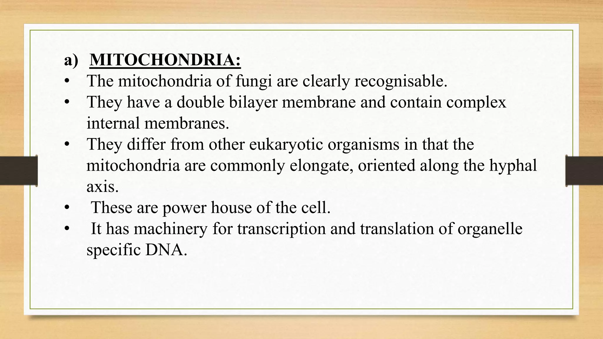 a) MITOCHONDRIA:
• The mitochondria of fungi are clearly recognisable.
• They have a double bilayer membrane and contain complex
internal membranes.
• They differ from other eukaryotic organisms in that the
mitochondria are commonly elongate, oriented along the hyphal
axis.
• These are power house of the cell.
• It has machinery for transcription and translation of organelle
specific DNA.
 