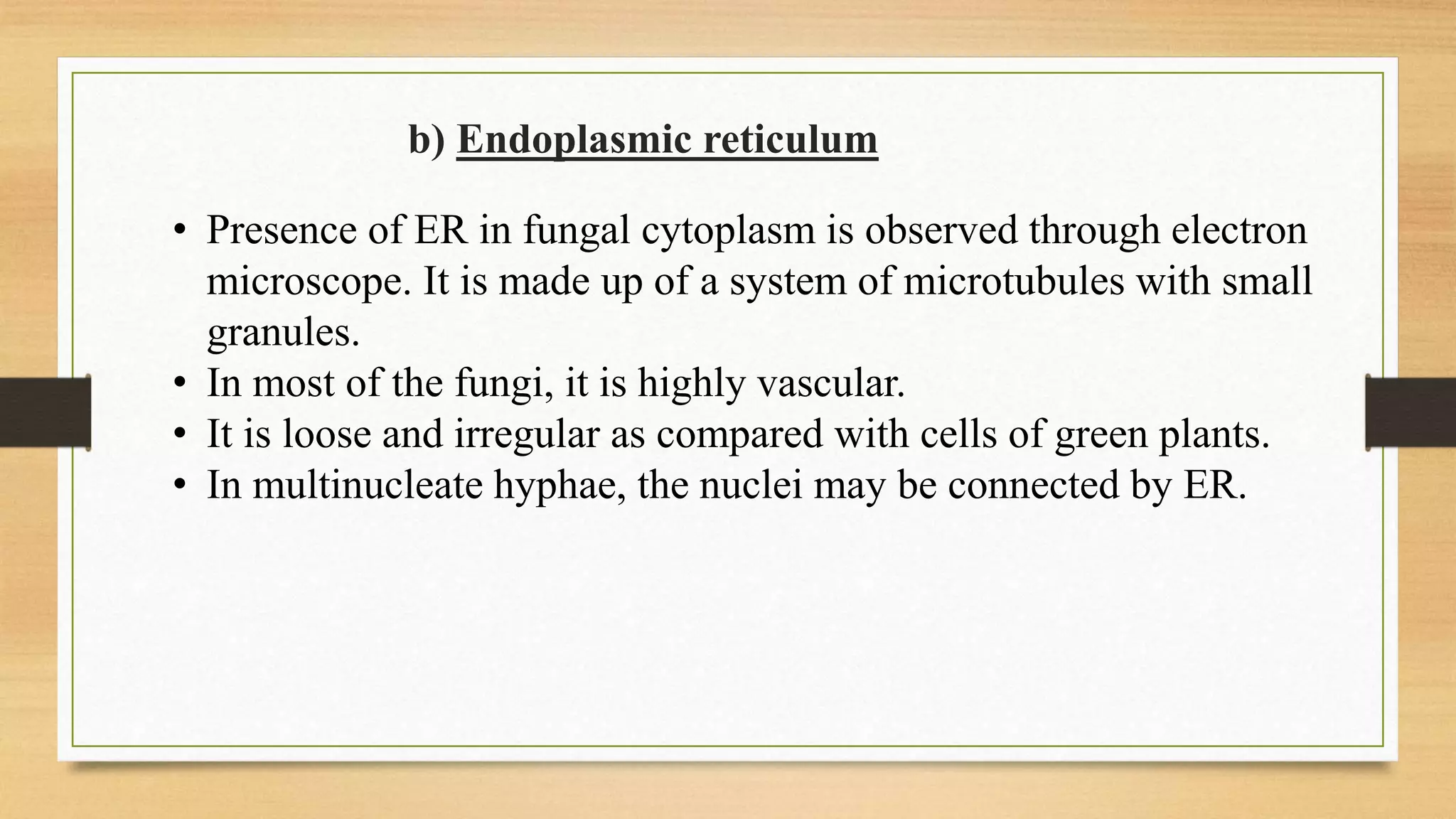 b) Endoplasmic reticulum
• Presence of ER in fungal cytoplasm is observed through electron
microscope. It is made up of a system of microtubules with small
granules.
• In most of the fungi, it is highly vascular.
• It is loose and irregular as compared with cells of green plants.
• In multinucleate hyphae, the nuclei may be connected by ER.
 