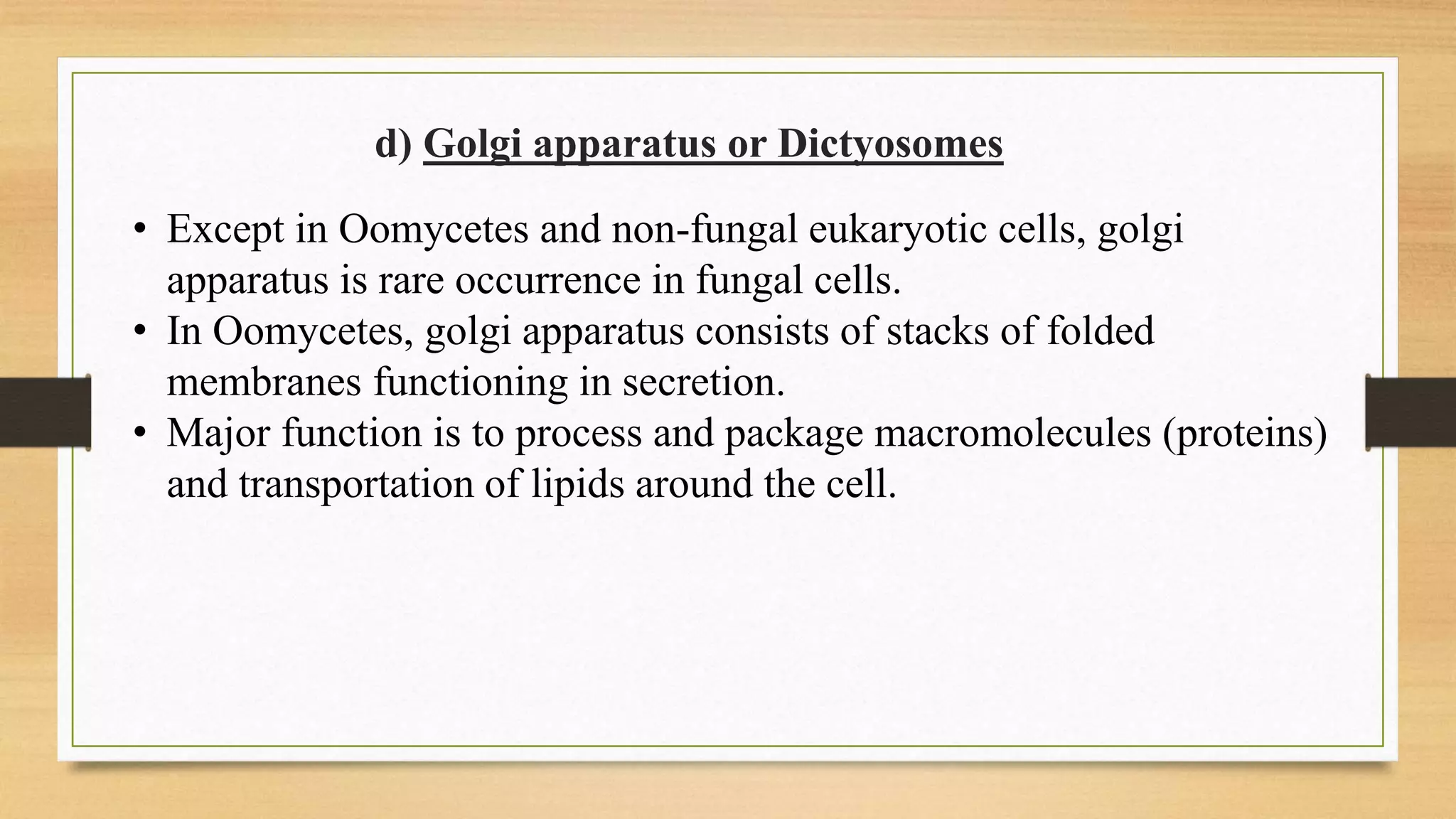 d) Golgi apparatus or Dictyosomes
• Except in Oomycetes and non-fungal eukaryotic cells, golgi
apparatus is rare occurrence in fungal cells.
• In Oomycetes, golgi apparatus consists of stacks of folded
membranes functioning in secretion.
• Major function is to process and package macromolecules (proteins)
and transportation of lipids around the cell.
 