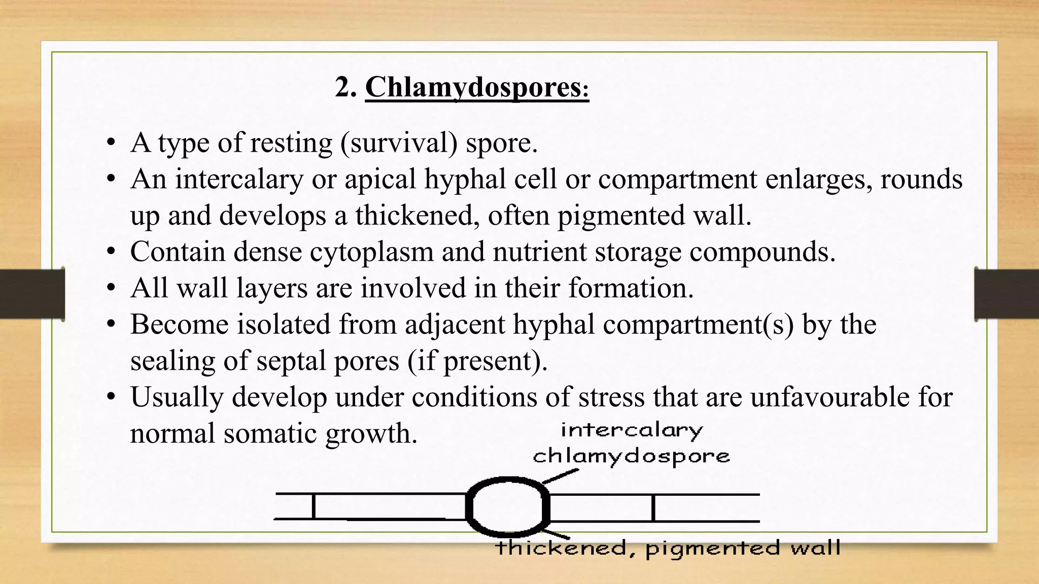 2. Chlamydospores:
• A type of resting (survival) spore.
• An intercalary or apical hyphal cell or compartment enlarges, rounds
up and develops a thickened, often pigmented wall.
• Contain dense cytoplasm and nutrient storage compounds.
• All wall layers are involved in their formation.
• Become isolated from adjacent hyphal compartment(s) by the
sealing of septal pores (if present).
• Usually develop under conditions of stress that are unfavourable for
normal somatic growth.
 