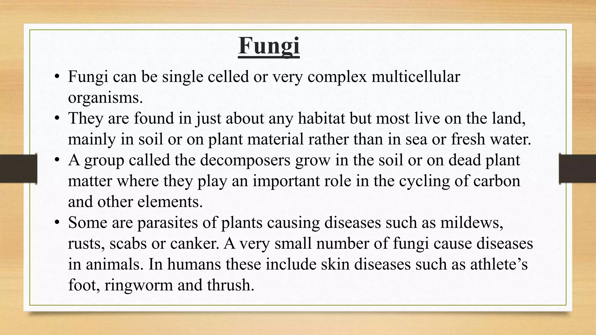 Fungi
• Fungi can be single celled or very complex multicellular
organisms.
• They are found in just about any habitat but most live on the land,
mainly in soil or on plant material rather than in sea or fresh water.
• A group called the decomposers grow in the soil or on dead plant
matter where they play an important role in the cycling of carbon
and other elements.
• Some are parasites of plants causing diseases such as mildews,
rusts, scabs or canker. A very small number of fungi cause diseases
in animals. In humans these include skin diseases such as athlete’s
foot, ringworm and thrush.
 