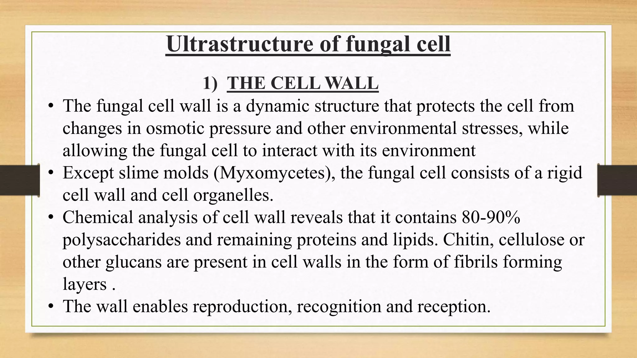 Ultrastructure of fungal cell
1) THE CELL WALL
• The fungal cell wall is a dynamic structure that protects the cell from
changes in osmotic pressure and other environmental stresses, while
allowing the fungal cell to interact with its environment
• Except slime molds (Myxomycetes), the fungal cell consists of a rigid
cell wall and cell organelles.
• Chemical analysis of cell wall reveals that it contains 80-90%
polysaccharides and remaining proteins and lipids. Chitin, cellulose or
other glucans are present in cell walls in the form of fibrils forming
layers .
• The wall enables reproduction, recognition and reception.
 