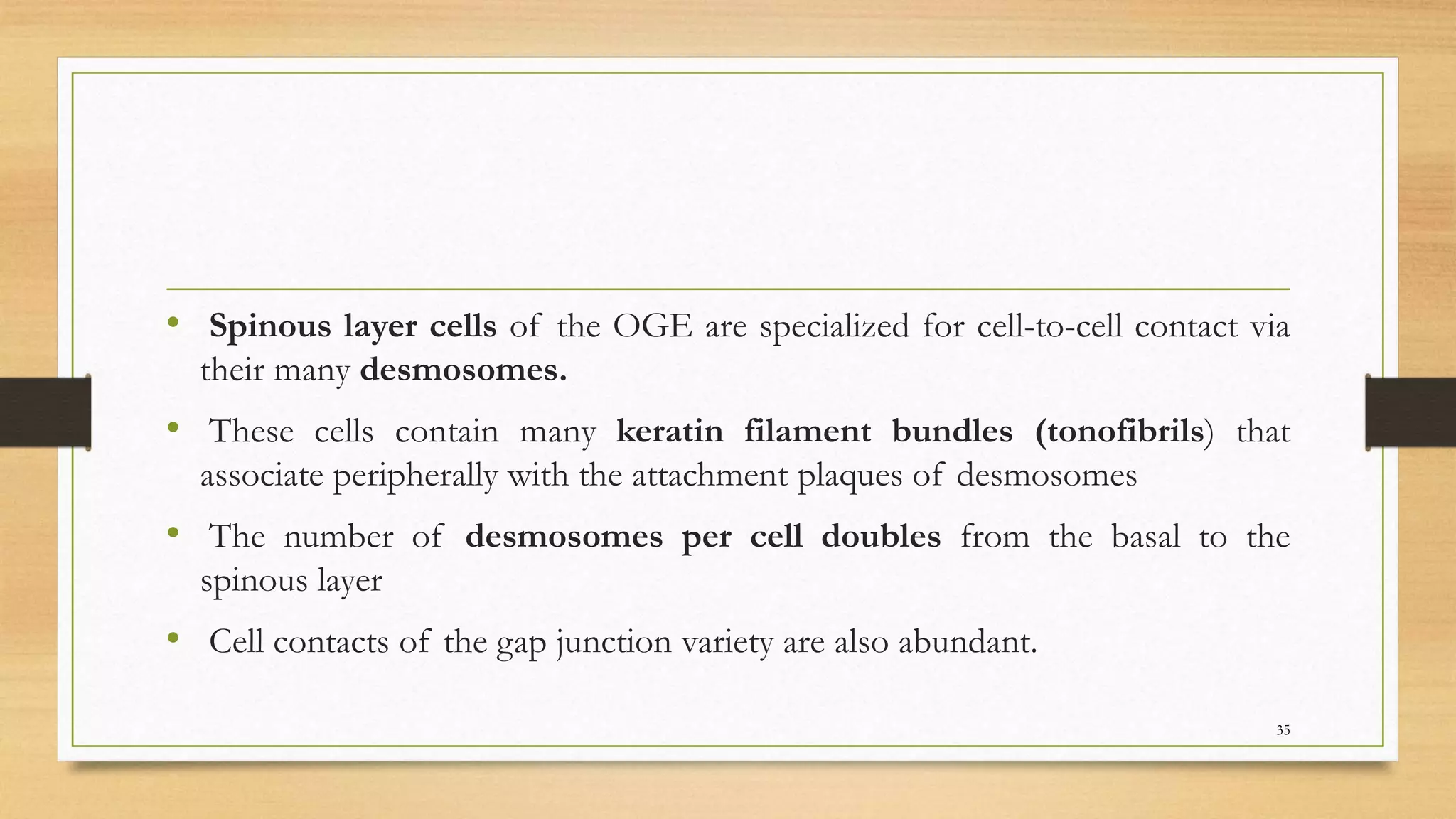 Ultrastructure of gingival epithelium in health and disease | PPTX
