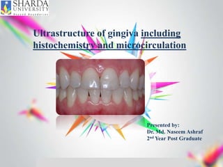 ALLPPT.com _ Free PowerPoint Templates, Diagrams and Charts
Ultrastructure of gingiva including
histochemistry and microcirculation
Presented by:
Dr. Md. Naseem Ashraf
2nd Year Post Graduate
 