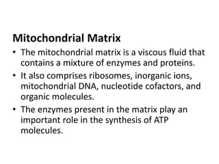 Ultra structure of plant cell (1) | PPTX