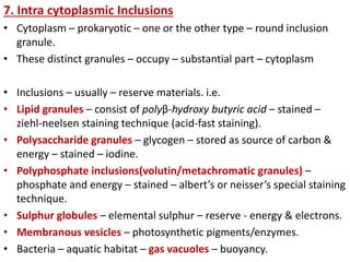 Ultra stucture of bacteria cell | PPTX