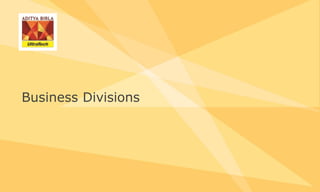 Business Divisions
 