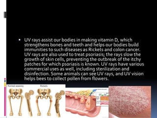  UV rays assist our bodies in making vitamin D, which
strengthens bones and teeth and helps our bodies build
immunities to such diseases as Rickets and colon cancer.
UV rays are also used to treat psoriasis; the rays slow the
growth of skin cells, preventing the outbreak of the itchy
patches for which psoriasis is known. UV rays have various
commercial uses as well, including sterilization and
disinfection. Some animals can see UV rays, and UV vision
helps bees to collect pollen from flowers.
 