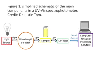 Figure 1; simplified schematic of the main
components in a UV-Vis spectrophotometer.
Credit: Dr. Justin Tom.
 