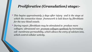 Proliferative (Granulation) stage:-
• This begins approximately 3 days after injury and is the stage at
which the connective tissue framework is laid down by fibroblasts
for the new blood vessels.
• During repair, fibroblasts may be stimulated to produce more
collagen; ultrasound can promote collagen synthesis by increasing
cell membrane permeability, which allows the entry of calcium ions,
which control cellular activity.
 