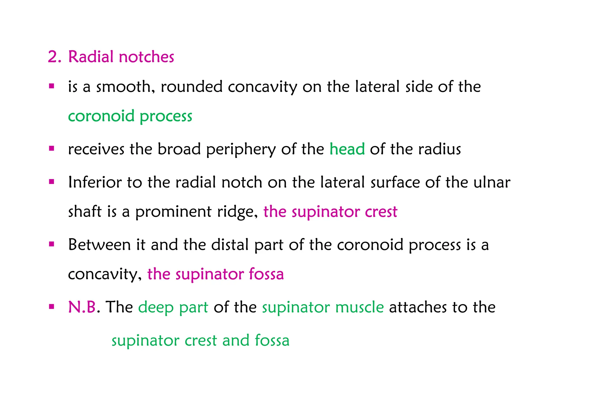 UL upper limb-1 anatomy,bonemuscle and neurovusculatur | PDF