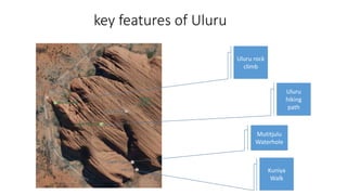 Uluru
hiking
path
Uluru rock
climb
Kuniya
Walk
Mutitjulu
Waterhole
key features of Uluru
 