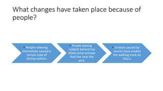 What changes have taken place because of
people?
People relieving
themselves caused a
certain type of
shrimp extinct.
People leaving
rubbish behind has
killed some animals
that live near the
area.
Erosion caused by
tourist have eroded
the walking track on
Uluru.
 