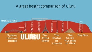 A great height comparison of Uluru
 