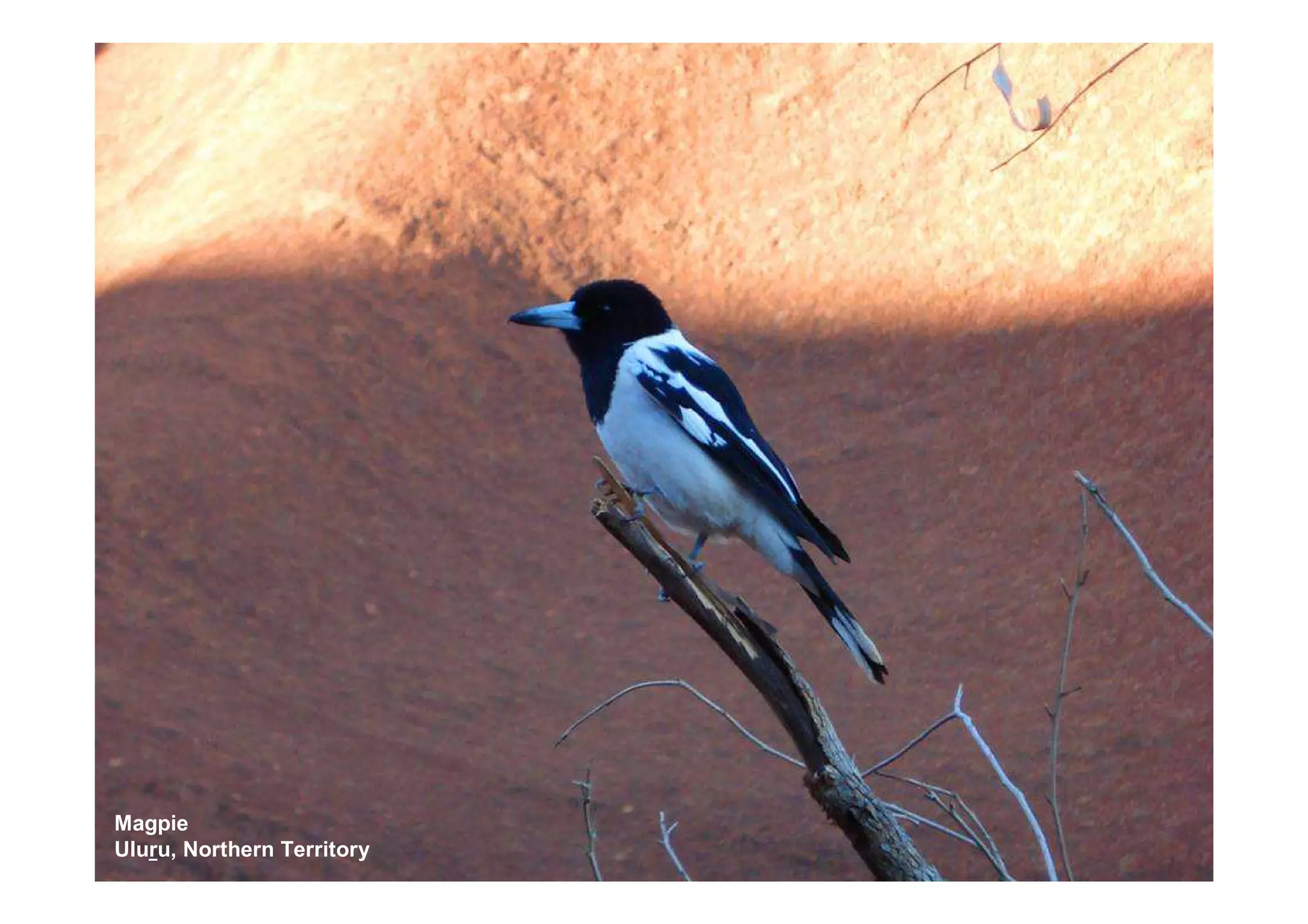 Uluru to FNQ - Roadtrip '07