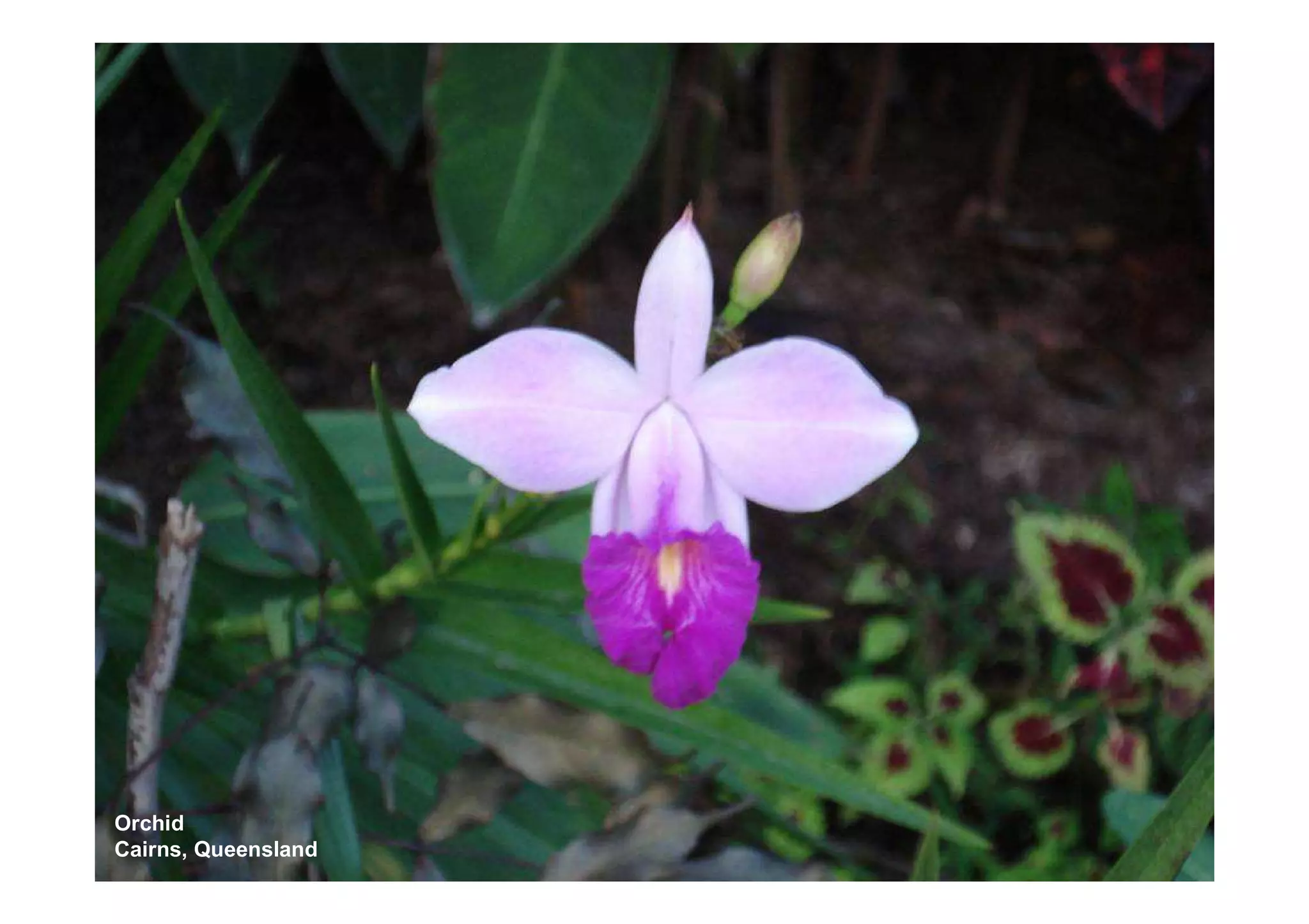 Uluru to FNQ - Roadtrip '07