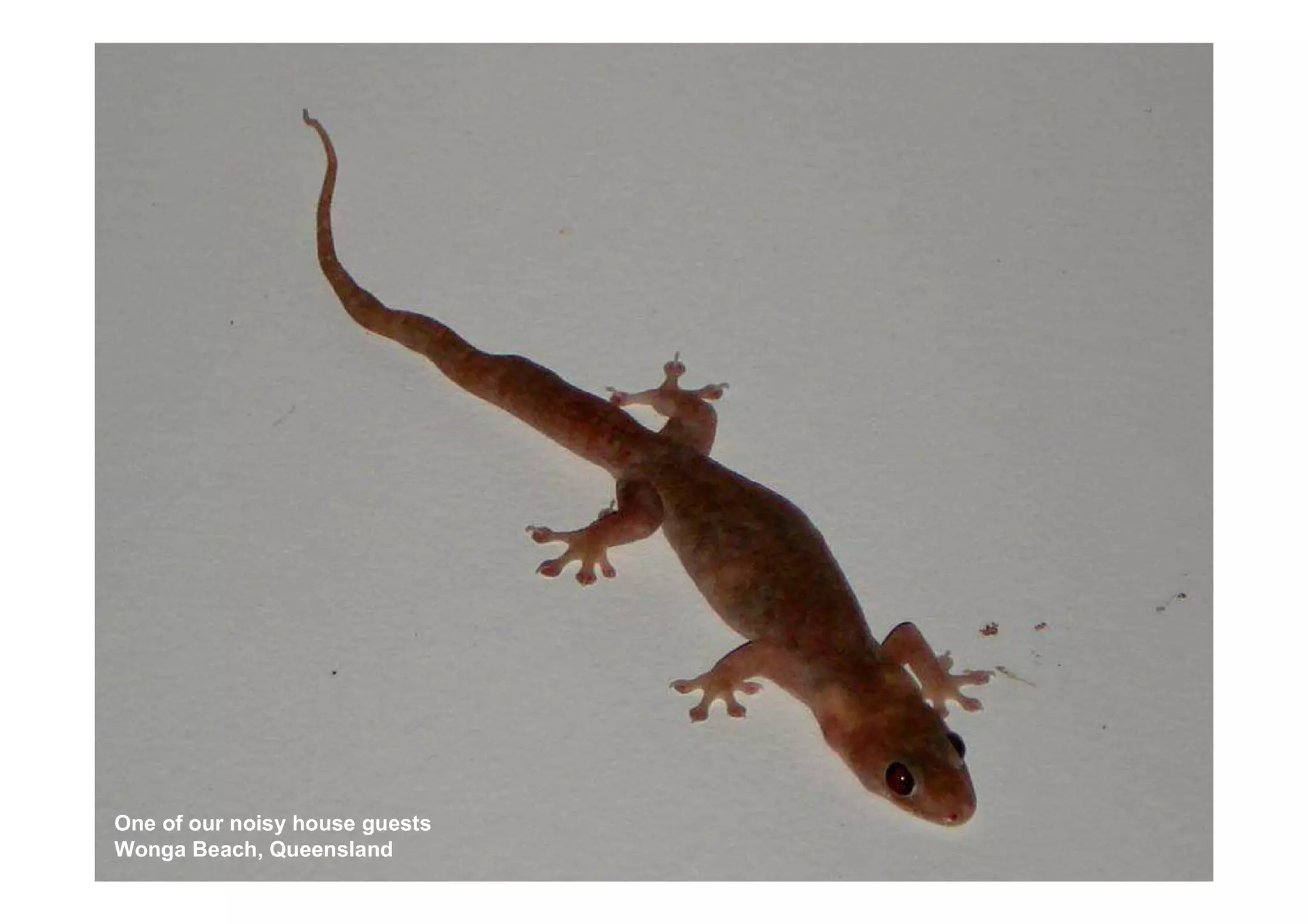 Uluru to FNQ - Roadtrip '07