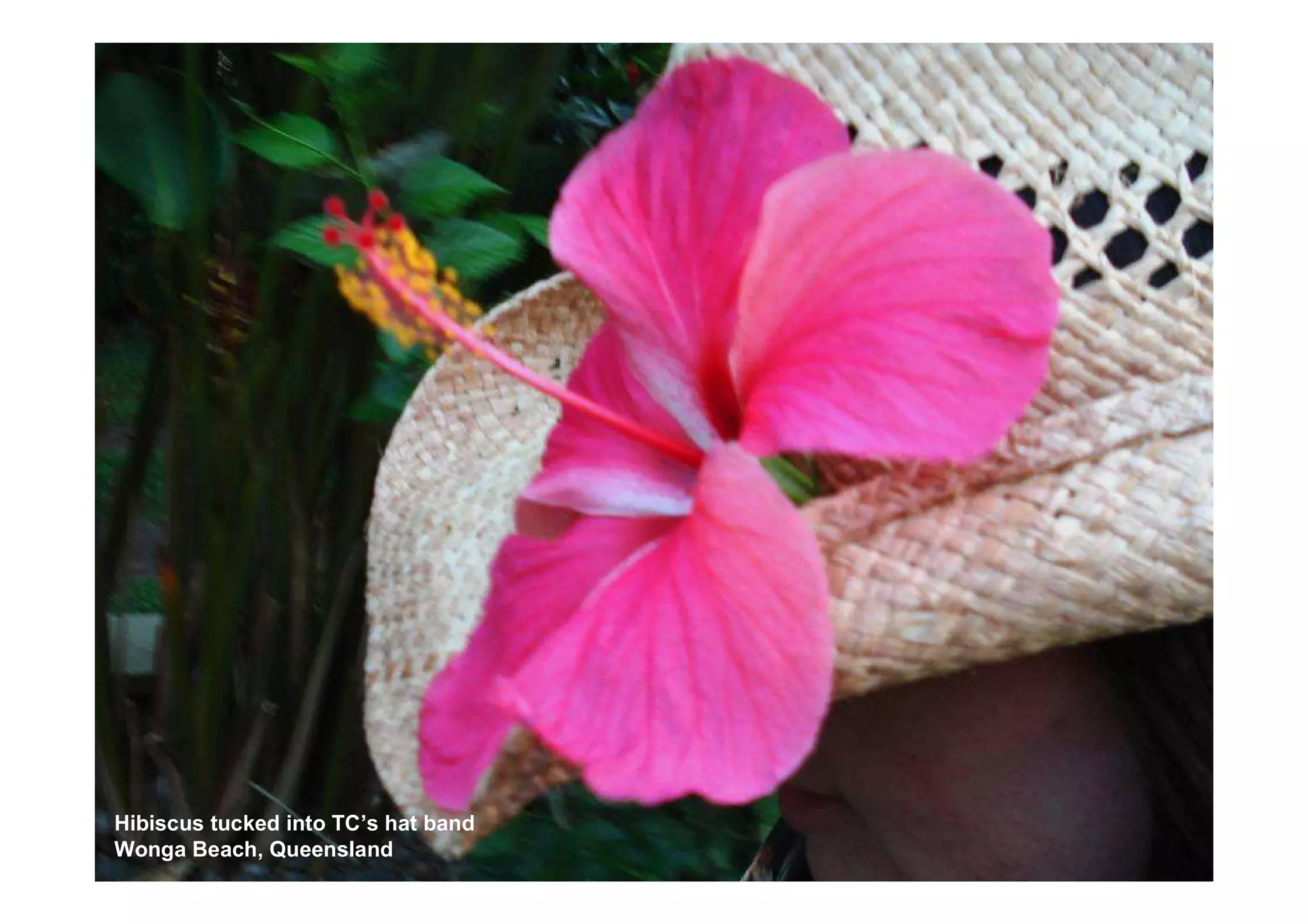 Uluru to FNQ - Roadtrip '07