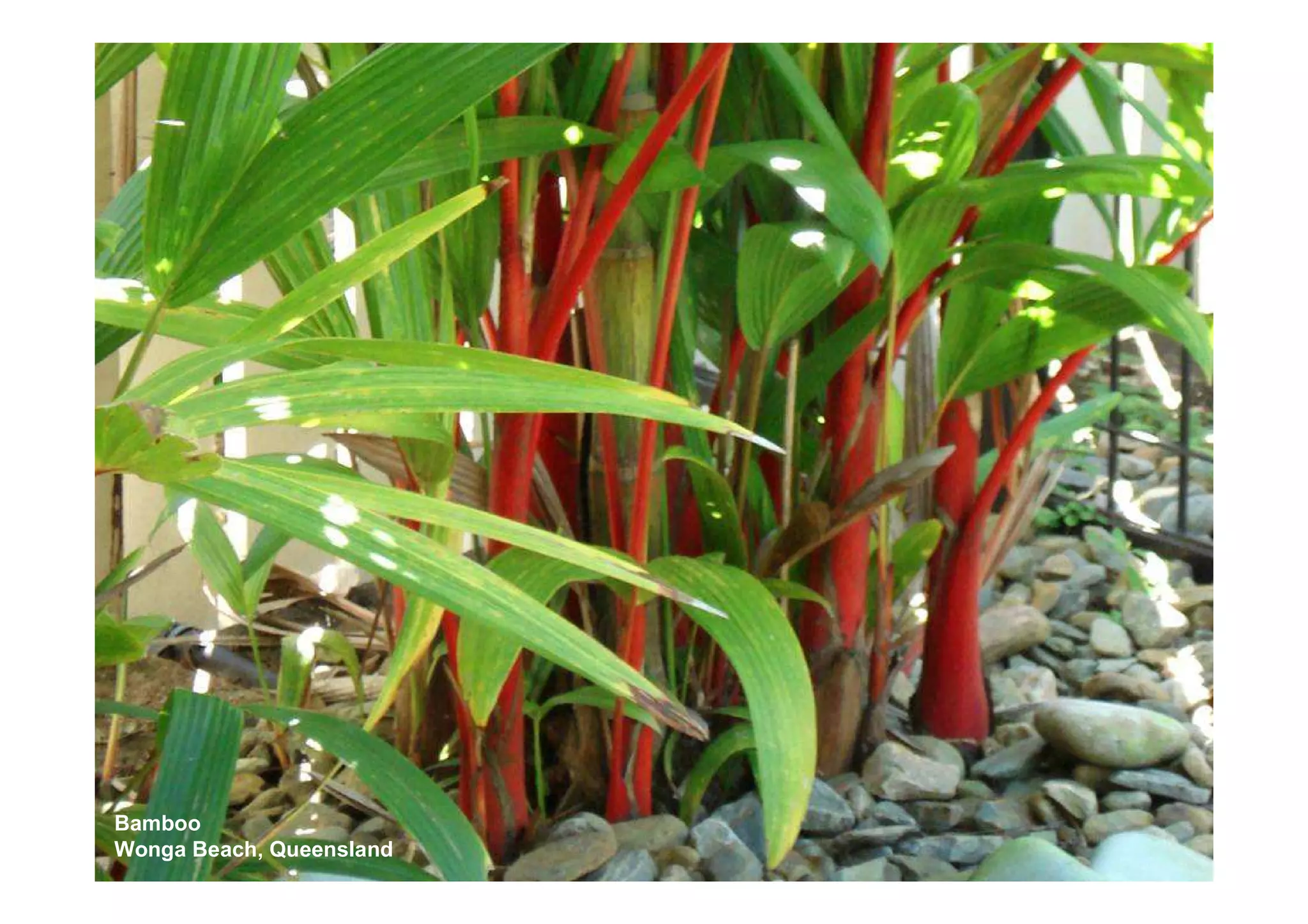 Uluru to FNQ - Roadtrip '07