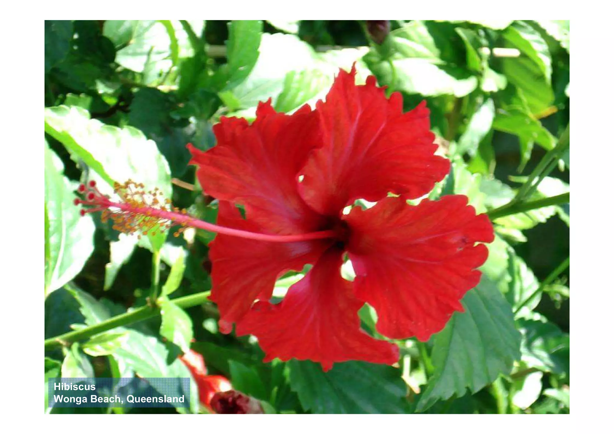 Uluru to FNQ - Roadtrip '07