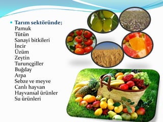  Tarım sektöründe;

Pamuk
Tütün
Sanayi bitkileri
İncir
Üzüm
Zeytin
Turunçgiller
Buğday
Arpa
Sebze ve meyve
Canlı hayvan
Hayvansal ürünler
Su ürünleri

 