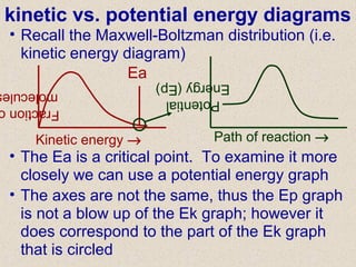 kinetic vs. potential energy diagrams
• Recall the Maxwell-Boltzman distribution (i.e.
kinetic energy diagram)
Kinetic energy →
Fraction
molecule
Ea
• The Ea is a critical point. To examine it more
closely we can use a potential energy graph
Potential
Energy(Ep)
Path of reaction →
• The axes are not the same, thus the Ep graph
is not a blow up of the Ek graph; however it
does correspond to the part of the Ek graph
that is circled
 