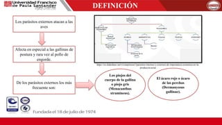 DEFINICIÓN
Los parásitos externos atacan a las
aves
Afecta en especial a las gallinas de
postura y rara vez al pollo de
engorde.
De los parásitos externos los más
frecuente son:
Los piojos del
cuerpo de la gallina
o piojo gris
(Menacanthus
stramineus).
El ácaro rojo o ácaro
de las perchas
(Dermanyssus
gallinae).
https://es.slideshare.net/vivianpinzon1/parasitos-internos-y-externos-de-importancia-econmica-en-la-
produccin-aviar
 